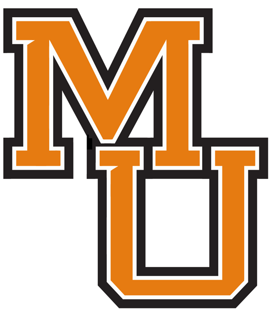 Mercer Bears 0-Pres Wordmark Logo iron on transfers for clothing